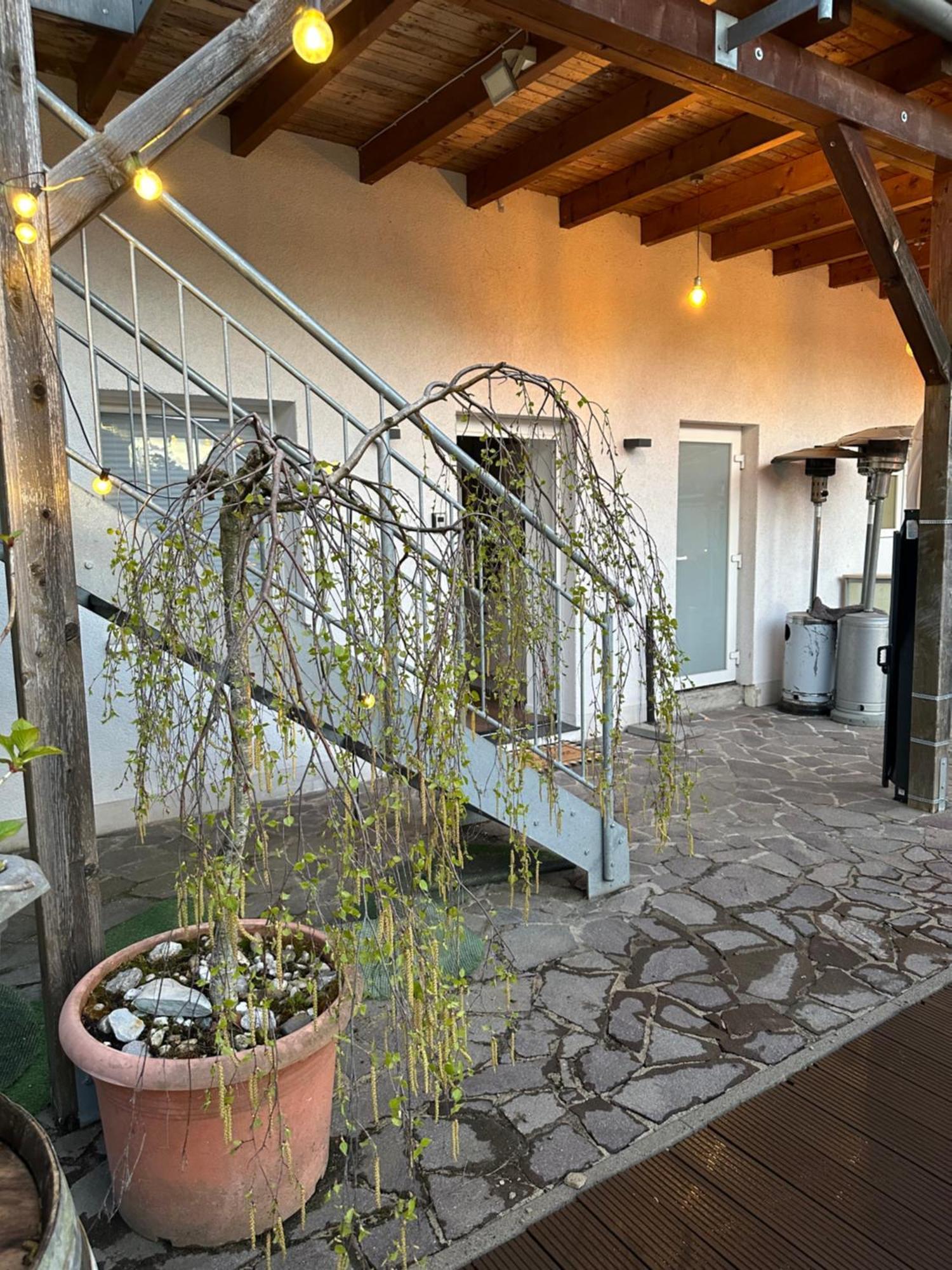Mola Apartments-Apartment Im Herdecker Zentrum Fuer 3 Gaeste-Gratis Parkplatz-Highspeed Wlan-Auch Fuer Langzeit Geeignet 外观 照片